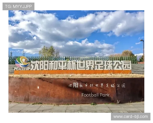 官方：沈阳和平杯门票现已开售，U16国少场次售价30-80元